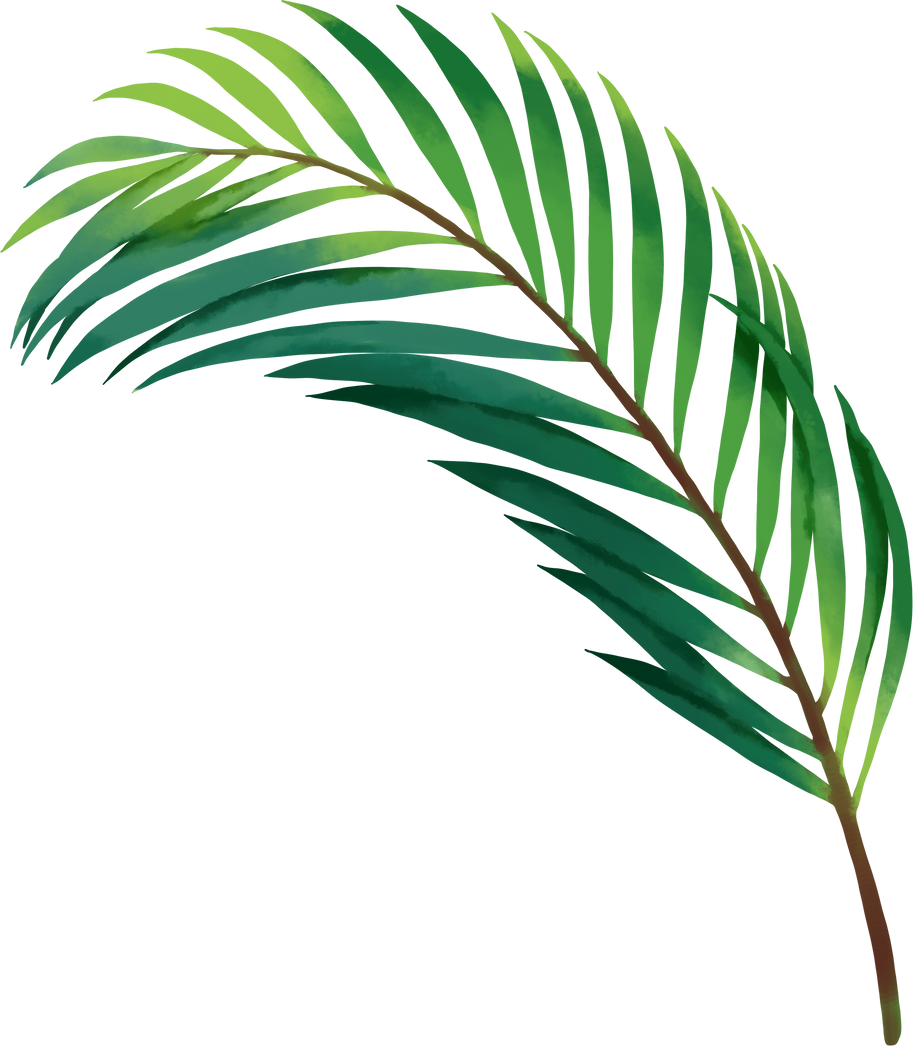 Watercolor Tropical Palm Leaves